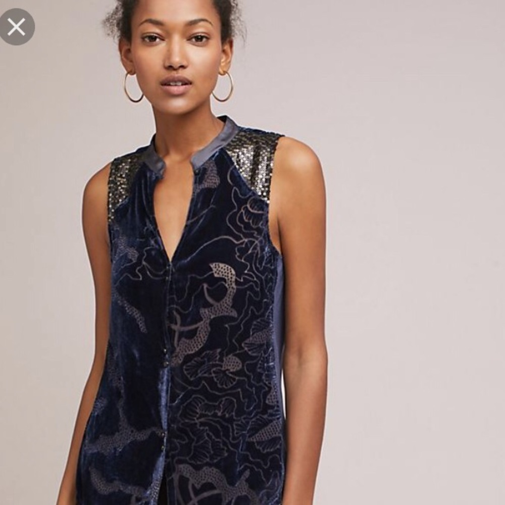 Anthropologie Sleeveless Velvet Sequins Top